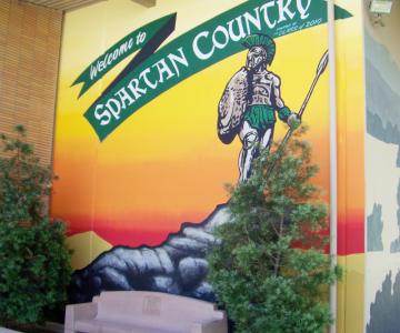 Mural hand painted with added clear coat graphiti shield