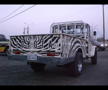 Wrap Fantasy Zebra 